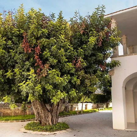 Palazzo Bove 2 - Dagmar Bed & Breakfast 4*